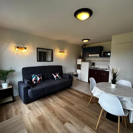 T2 Avec Wi-fi Et Piscine A 200m Des Thermes - Fr-1-541-151 * La Roche-Posay