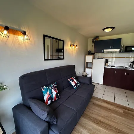 T2 Avec Wi-fi Et Piscine A 200m Des Thermes - Fr-1-541-151 * La Roche-Posay