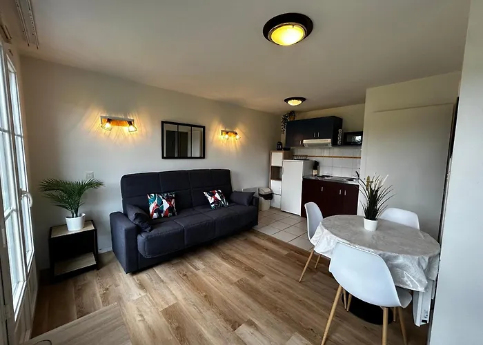 T2 Avec Wi-fi Et Piscine A 200m Des Thermes - Fr-1-541-151 * La Roche-Posay