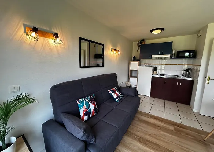 T2 Avec Wi-fi Et Piscine A 200m Des Thermes - Fr-1-541-151 * La Roche-Posay